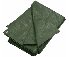 Tentas, žalios spalvos, 8x10m, 180g/m²