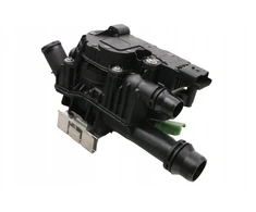 Termostatas citroen 1.6 mėlynas hdi c3 c4 picasso cactus jumpy berlingo ds3 ds4