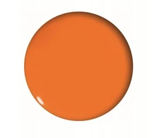 Tetis magnetai lentoms oranžiniai veidukai 20 mm 6 vnt.
