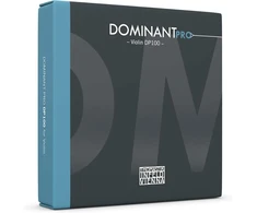 Thomastik Infeld smuiko stygos smuikui Dominant Pro Set Dp100