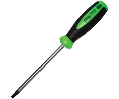 Torx atsuktuvas, T25 x 100 Gr