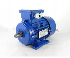 Trifazis elektros variklis 0,12kw 1320 aps/min B3