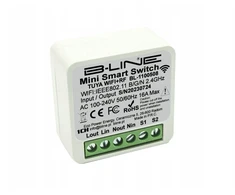 Valdiklis įleidžiamas mini box wifi+rf prs tuya (1 kanalas)