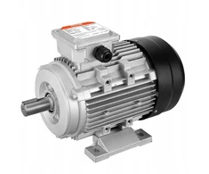 Vevor Elektrinis variklis 3000 aps/min 2 Ag 300x175x215mm 3 fazių B3 rėmas