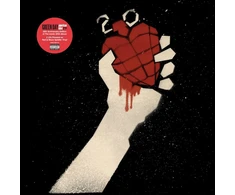 Vinilinė plokštelė American Idiot (20-ojo jubiliejaus deluxe leidimas) [vinilo plokštelė]