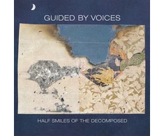 Vinilinė plokštelė Half Smiles of the Decomposed