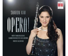 Vinilinė plokštelė Opera!