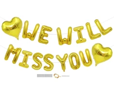 "we Will Miss You" balionų vėliavėlių rinkinys, "we Will Miss You" baneris, atsisveikinimo vakarėlio dekoracijos, priedai, atsisveikinimo vakarėlis, išėjimo į pensiją vakarėlis, darbo vakarėlis biure, išleistuvių dekoracija (auksinė)