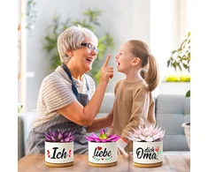Wednok 3 gėlių vazonų rinkinys "močiutei" Geriausios dovanos močiutei Motinos dienos dovana Aš tave myliu, močiute, gimtadienio dovana Sukulentų vazonas su lėkštute močiutei Gimtadienio dovana Motinos dienos dovana Kalėdų dovana