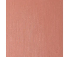 Winsor &amp; Newton Winton 8840593 aukštos kokybės aliejiniai dažai - 200 ml tūbelė su tolygia konsistencija, atsparūs šviesai, gerai dengiantys, sodrūs spalvos pigmentais - šviesiai raudona