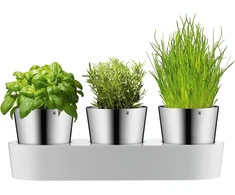 Wmf Gourmet prieskoninių žolelių rinkinys, 3 dalys, prieskoninių žolelių vazonas su drėkinimo sistema, nerūdijantis plienas Cromargan, plastikas, skirtas šviežioms žolelėms, tokioms kaip bazilikas, petražolės, mėtos, 36x 12.5x 12.5 cm, baltas
