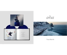 Vinilinė plokštelė Xxv-deluxe &amp; True North