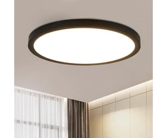 ZMH Led Lubinis Šviestuvas 30cm Juodas 24w 3000k Vonios, Virtuvės, Miegamojo