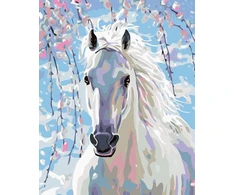 Zuty 1082221 paveikslas pagal skaičius baltas arklys 40 x 50 cm su porėmiu (iš anksto įtemptas) įrėmintas
