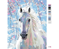 Zuty 1082221 paveikslas pagal skaičius baltas arklys 40 x 50 cm su porėmiu (iš anksto įtemptas) įrėmintas