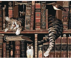Zuty 2410201 paveikslas pagal skaičius „katė bibliotekoje“ 40 x 50 cm su rėmu (jau įtemptas)