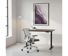 Elektrinis rašomasis stalas Spacetronik Moris 121BT, 120 × 60 cm