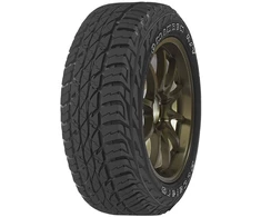 Vasarinės padangos Accelera Omikron A/T 285/50 R20 112 H (D C B 73dB)
