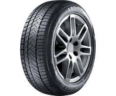 Žieminės padangos Aptany RW211 195/55 R16 87 H (D C B 72dB)