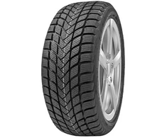 Žieminės padangos Delinte Winter WD6 155/65 R14 75 T (D B B 71dB)