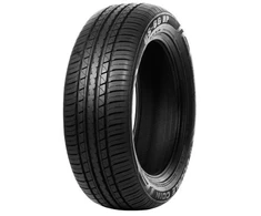 Vasarinės padangos Double Coin DS66HP 235/65 R17 108 V XL (C D B 72dB)
