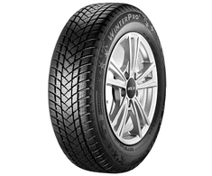 Žieminės padangos GT Radial WinterPro 2 165/65 R14 79 T (E C B 69dB)