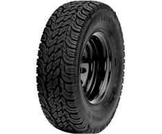 Vasarinės padangos Insa Turbo Mountain 245/70 R16 107 Q