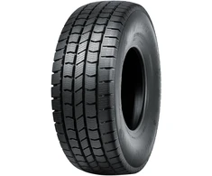 Žieminės padangos Nankang Winter Activa WA-1 305/70 R16 118/115 N