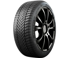 Žieminės padangos Dunlop Winter 245/45 R19 102 V XL (C C B 70dB)