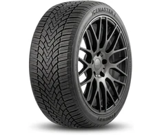 Žieminės padangos Fronway Icemaster I 225/45 R19 96 V XL (C D B 70dB)
