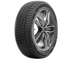 Žieminės padangos Radar Dimax Winter 225/45 R18 95 V XL (C A B 72dB)
