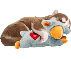 All for paws small buddy heartbeat sheep, šuniuko žaislas su širdies plakimu, šunų dresūros žaislas nerimui dėl atsiskyrimo mažinti, elgesio pagalba, avis, pilka