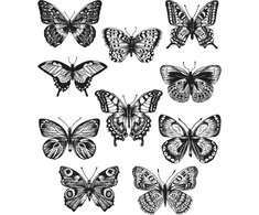 Art Gone Wild Agcms294 Tim Holtz Flutter lipnus guminių antspaudų rinkinys, įvairiaspalvis