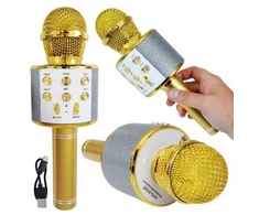 Belaidis karaoke mikrofonas su bluetooth + garsiakalbis