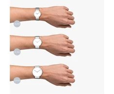 Bering Max René Collection vyriškas kvarcinis laikrodis su nerūdijančiu plienu ir safyriniu stiklu 15836-504 - 3 Atm, rudas/sidabrinis, 36 mm