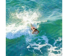 Bodyboard lenta Aquatone Buzz 50" Os