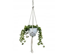 Clanstore Makramė gėlių pakabinamas vazonas boho aukso spalvos