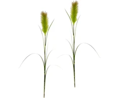 Craffancy Dekoratyvinė žolė, 2 vnt., 125 cm