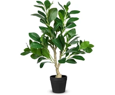 Craffancy Dirbtinis Fikusas Vazone 45 cm - Natūraliai Atrodantis Augalas