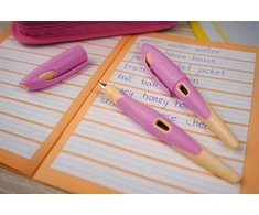 Dangtelis Stabilo Easybirdy Pastel Fountain Pen plunksnakotiniam rašikliui - mėlynas/šviesiai mėlynas