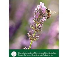 Dehner Natura Premium vabzdžių viešbutis Arbol, namelis laukinėms bitėms / drugeliams, apie 21 x 31 x 7 cm, sertifikuota fsc pušies mediena, natūralus