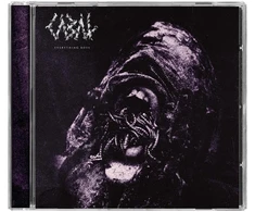 Vinilinė plokštelė Everything rots