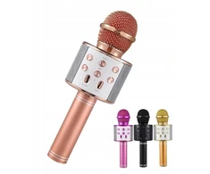 Forever Belaidis karaoke mikrofonas su Bluetooth garsiakalbiu vaikams