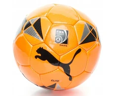 Futbolo kamuolys Puma Elite, dydis 5 + pompa