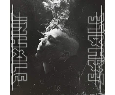 Vinilinė plokštelė Inhale/exhale