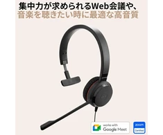 Ausinės Jabra Evolve 30 Ii, Unified Communications sertifikuota mono ausinė su skambučių valdymu, triukšmą slopinančiu mikrofonu, led indikatoriais, puikia garso kokybe, usb-c/a, juoda