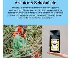 Kavamalė Meletius Specialities Coffee Roasting - kavos pupelės 1kg | vidutinio skrudinimo | kavos mišinys | biskvitinės tešlos skonio su pienišku šokoladu, sviestu, karamele, digesty tipo sausainiais | aukščiausias sca įvertinimas