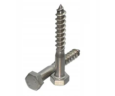 Nerūdijančio plieno varžtas Bejmet 5x50 mm medienai, su 6-kampiu raktu, 10 vnt.