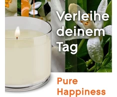 Orange Glade Aromatherapy eterinių aliejų kvapni žvakė, Pure Happiness, Glade kvapni žvakė su eteriniais aliejais Oranžinis + Neroli, 4 x 260 g