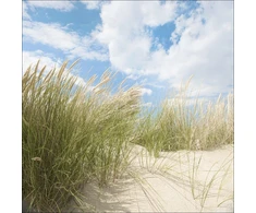 Plakatas Pro-art g1696a mural giclée 'summer Days I' 30 x 30 cm, įvairiaspalvis, 50x50 cm